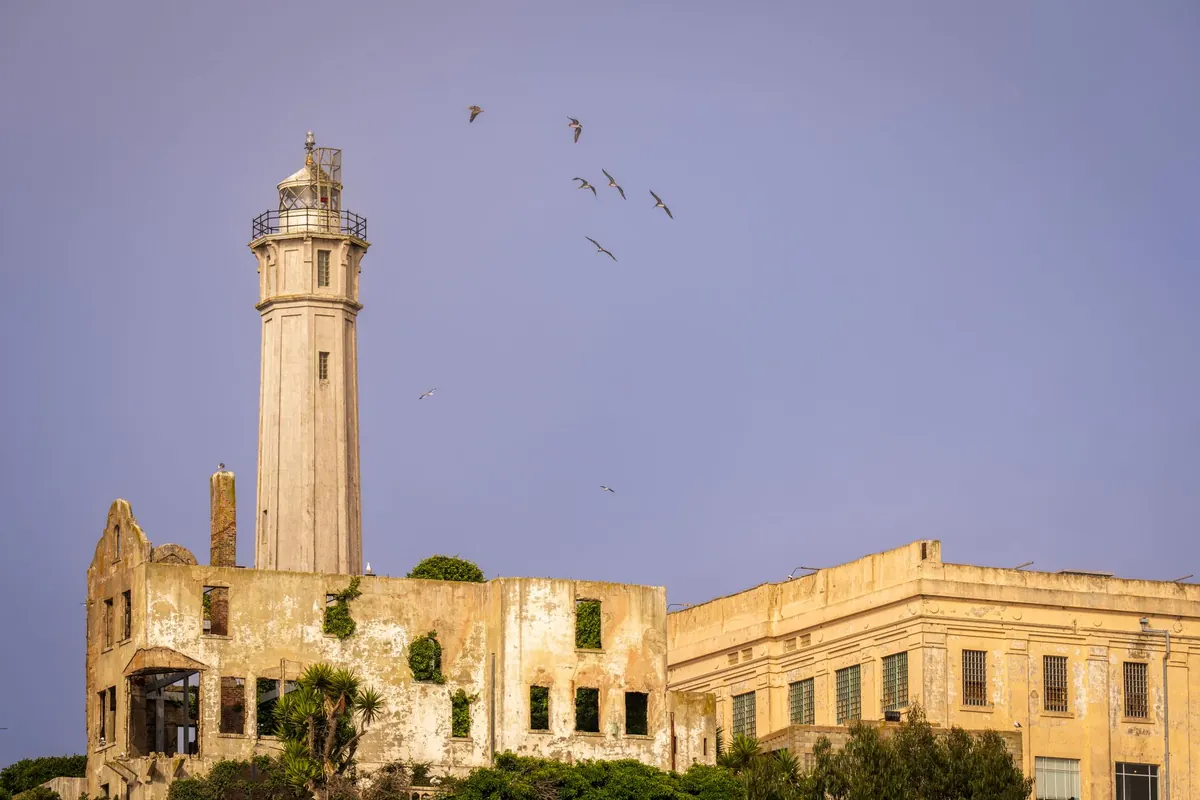 How to Restore a Derelict Lighthouse: A Beginner's Guide